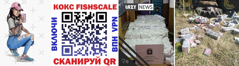 КОКАИН Fish Scale где найти наркотики Ясногорск