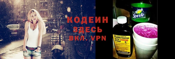 прущие грибы Арсеньев