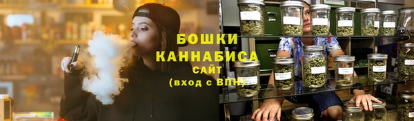 прущие грибы Арсеньев