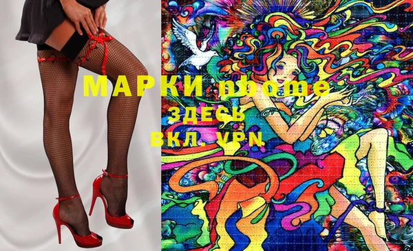 прущие грибы Арсеньев