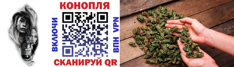 blacksprut как зайти  Ясногорск  Бошки Шишки тримм 